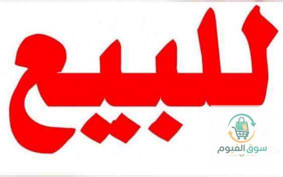 الفيوم