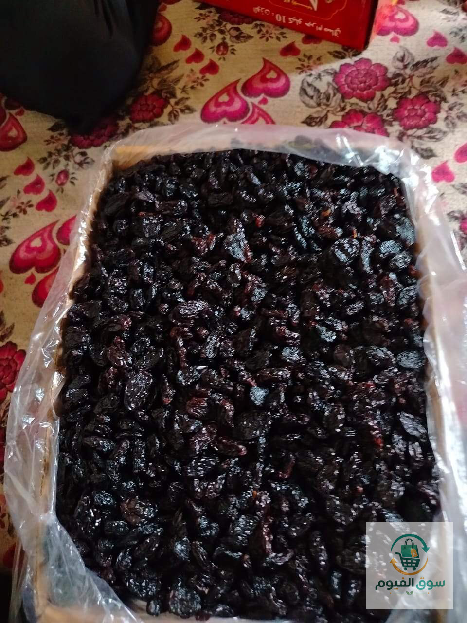 زبيب مصري
